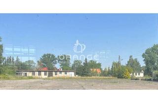 Gewerbeimmobilie kaufen in 17153 Zettemin, * Zwei vermietete Gewerbehallen auf großzügigem Areal in Zettemin – Investieren mit P