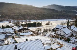 Grundstück zu kaufen in 93462 Lam, Ihr Grundstück in wunderschöner Lage im Luftkurort Lam!