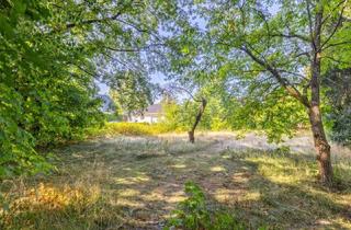 Grundstück zu kaufen in 14532 Stahnsdorf, Ruhig und doch zentral! Baugrundstück in zweiter Reihe in Stahnsdorf geeignet für EFH und DHH