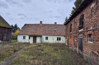 Grundstück zu kaufen in 15234 Hohenwalde, Gestaltungchance in ruhiger Ortsteillage