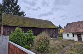 Grundstück zu kaufen in 15234 Hohenwalde, Gestaltungchance in ruhiger Ortsteillage