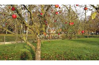 Grundstück zu kaufen in 19386 Granzin, ***Baugrundstück für Einfamilienhaus - bauträgerfrei***