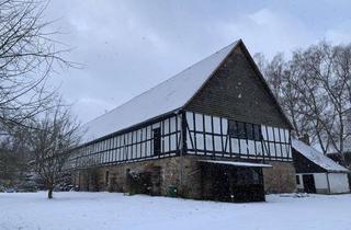 Gewerbeimmobilie mieten in Domäne, 34388 Trendelburg, Vielseitige Gewerbe/ Atelier/ Werkstatt-Erdgeschlossfläche an der Diemel, Trendelburg