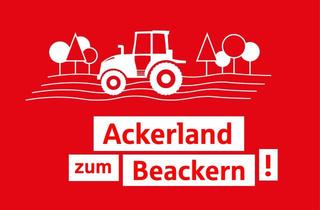 Gewerbeimmobilie kaufen in 49832 Freren, Landwirtschaftliche Fläche in Freren