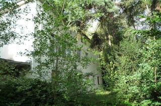 Grundstück zu kaufen in 08529 Plauen, ++ 12.000 m² Grundstück / 1.400 m² Gewerbe- Wohnfläche ++