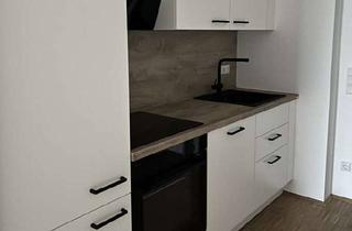 Wohnung mieten in 01477 Arnsdorf, Dachtraum im Neubau mit Fußbodenheizung, großem Balkon, EBK, Lift! Erstbezug!