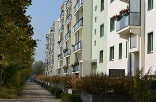 Wohnung mieten in Luckenwalder Straße 76, 12629 Hellersdorf, großzügige, helle Atelierwohnung über zwei Etagen mit Ausblick - ein echtes Sahnestück!