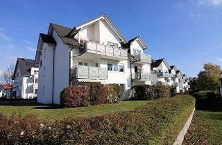 Wohnung mieten in 96486 Lautertal, Gepflegte 2-Zimmer-Wohnung mit Terrasse in Lautertal