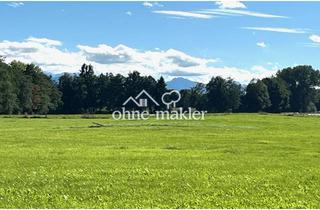 Grundstück zu kaufen in 86971 Peiting, Erschlossenes Baugrundstück