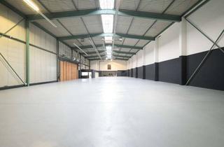 Gewerbeimmobilie mieten in Holzhauser Straße 44, 13509 Tegel, Multifunktionelle Lagerfläche in Berlin Reinickendorf zur Miete