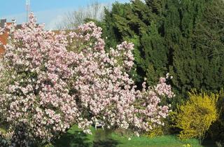 Haus kaufen in 86405 Meitingen, ***LEBEN FÄNGT BEIM WOHNEN AN - KLEINES GRUNDSTÜCK GROSSE WIRKUNG - VIEL POTENTIAL FÜR SIE***