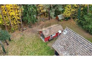 Grundstück zu kaufen in 30900 Wedemark, EXKLUSIVES BAUGRUNDSTÜCK IN IDYLLISCHER LAGE