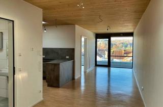 Penthouse kaufen in 89165 Dietenheim, Moderne Penthouse-Wohnung mit hochwertiger Ausstattung