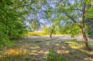 Immobilie kaufen in 14532 Stahnsdorf, Ruhig und doch zentral! Baugrundstück in zweiter Reihe in Stahnsdorf geeignet für EFH und DHH