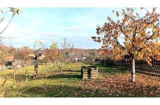Haus kaufen in 06333 Hettstedt, Hettstedt - Reihenmittelhaus