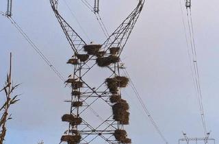 Reihenhaus kaufen in 71154 Nufringen, Nufringen - Reiheneckhaus in Nufringen