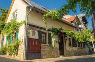Haus kaufen in 55234 Bechtolsheim, Bechtolsheim - 2 EF Häuser mit grandioser Aussicht im Weinland Rheinhessen