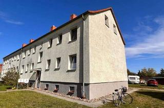 Wohnung mieten in Neuer Weg, 23936 Börzow, Nette 3-Zimmer-Wohnung in ländlicher Gegend mit Garten