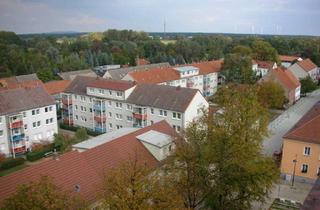 Wohnung mieten in Am Kleinen Hain 16, 15907 Lübben, Kurzexposé 30/13