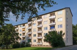 Wohnung mieten in Breslauer Str. 28, 38440 Wohltberg, Modernisierte 2-Zimmer-Wohnung im Wohltberg – komfortabel und gepflegt