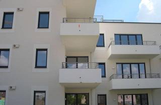 Wohnung mieten in Edith-Stein-Str. 22, 93055 Ostenviertel, Schöne 2-Zimmer Wohnung / Candis Gärten