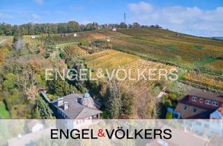 Villa kaufen in 64283 Darmstadt, Exklusive Villa mit Schlosscharakter am Fuße der Weinberge von Groß-Umstadt