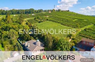 Villa kaufen in 64283 Darmstadt, Exklusive Villa mit Schlosscharakter am Fuße der Weinberge von Groß-Umstadt