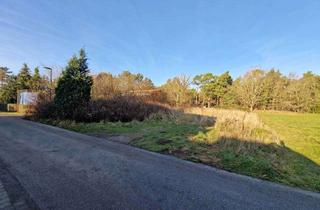 Grundstück zu kaufen in 18375 Wieck a Darß, Unbebautes Grundstück am Rand des Darß-Waldes