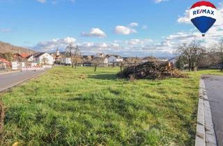 Grundstück zu kaufen in 79761 Waldshut-Tiengen, Baugrundstückin Gurtweil