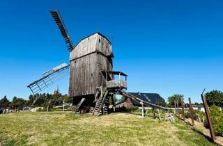 Grundstück zu kaufen in Straße Der Einheit 26A, 39393 Ausleben, Bockwindmühle Ausleben