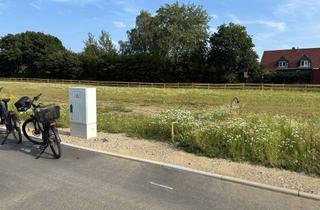 Grundstück zu kaufen in Holtkoppel 10, 25767 Albersdorf, Baugrundstück in Albersdorf von privat