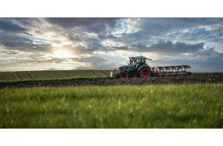 Grundstück zu kaufen in 85238 Petershausen, Verkaufe landwirtschaftliche Fläche/Ackerland