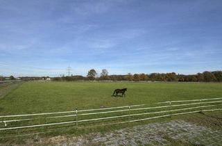 Immobilie kaufen in 77871 Renchen, Idyllischer Reiterhof mit großem Erweiterungspotential in bevorzugter Panoramalage