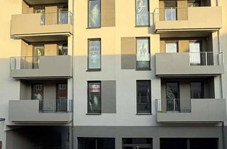 Geschäftslokal mieten in 63571 Gelnhausen, **NEUBAU - ERSTBEZUG Laden- oder Ausstellungsfläche im Zentrum von Gelnhausen**