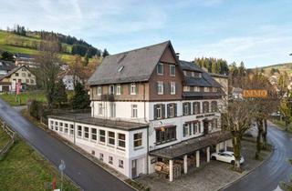 Gewerbeimmobilie kaufen in 79674 Todtnau, IMMORath.de - Blick auf die Schweizer Alpen mit Gastronomie & Hotelzimmern