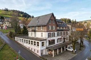 Gewerbeimmobilie kaufen in 79674 Todtnau, IMMORath.de - Blick auf die Schweizer Alpen mit Gastronomie & Hotelzimmern