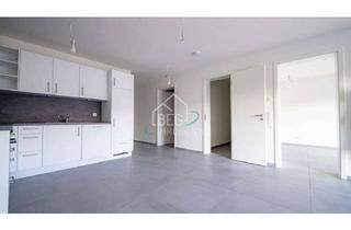 Wohnung mieten in 74243 Langenbrettach, Erstbezug: Hochwertige Wohnung mit Einbauküche und Balkon