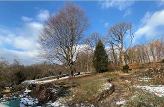 Grundstück zu kaufen in 63584 Gründau, **Traumhaftes Grundstück mit Fernsicht / Waldrandlage**