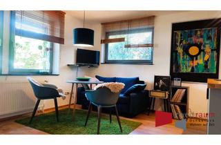 Immobilie mieten in 49076 Westerberg, Westerberg, modernes Halbsouterrain-Apartment in Hanglage, daher gefühlt wie im Erdgeschoss.