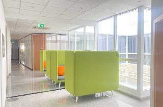 Büro zu mieten in 55128 Mainz, Erstklassige, klimatisierte Büroeinheiten, ohne zus. Mieterprovision!