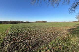 Immobilie kaufen in 27211 Bassum, Ackerfläche in Bassum-Stühren! Bieterverfahren bis zum 06.02.2026