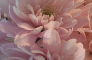 Wohnung kaufen in 24534 Neumünster, Neumünster - Eigentumswohnung im Zentrum von Neumünster zu verkaufen