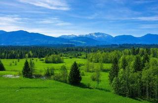 Haus kaufen in 82377 Penzberg, Naturnah leben und wohnen in Obermaxkron