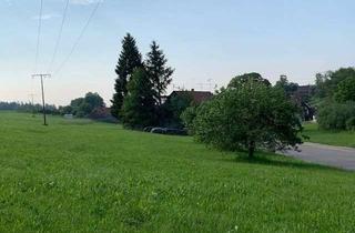 Haus kaufen in 75385 Bad Teinach-Zavelstein, BIEN-ZENKER CELEBRATION 207 V2 mit Bauplatz