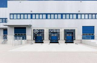 Gewerbeimmobilie mieten in 68723 Plankstadt, Moderne Logistik-/ Gewerbefläche Provisionsfrei | Top-Logistikregion Rhein-Neckar