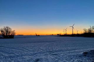 Gewerbeimmobilie kaufen in Dorfstraße, 23936 Rüting, Verpachtete Landwirtschaftsfläche mit Top Bodenwert