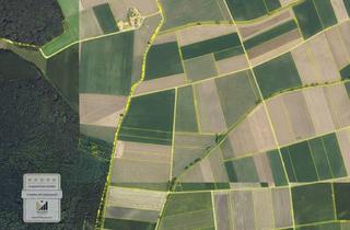 Immobilie kaufen in 86759 Fessenheim, Mischwald bei Fessenheim („Nonnenholz“) – 2 Parzellen (0,524 ha + 0,507 ha)