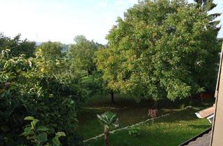 Wohnung mieten in Hebelstraße 20/1, 79415 Bad Bellingen, Sonnige 1½ Zi. DG-Wohnung in Bellingen-Hertingen zu vermieten