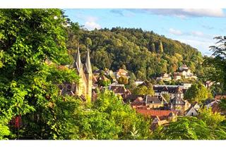 Immobilie mieten in 64646 Heppenheim, 2-Raum Apartment mit Aussicht