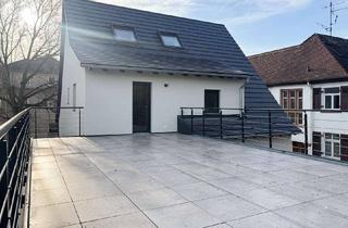 Penthouse mieten in 64521 Groß-Gerau, Penthouse Maisonette Wohnung mit riesiger Dachterrasse - Erstbezug nach energ. Komplettsanierung